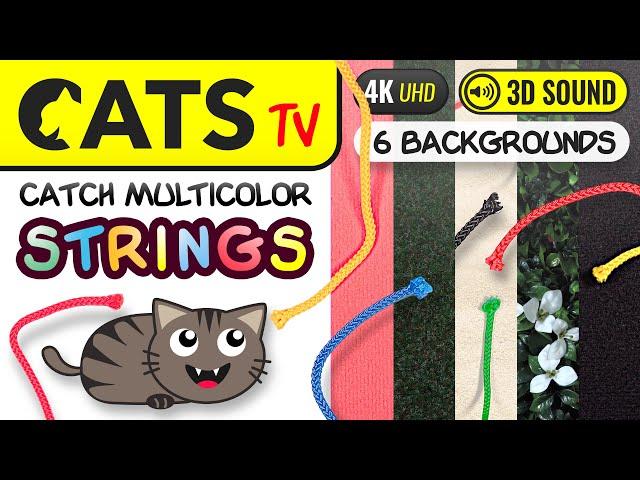 CATS TV - Multicolor Ropes  MULTI Backgrounds  4K  3 HOURS