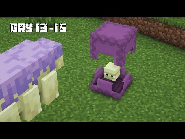 I Survived 100 DAYS as a SHULKER in HARDCORE Minecraft (CreateTV)