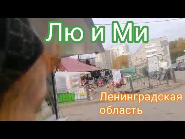 Кировск Лен обл Лю и Ми - ремикс  2024 10 08