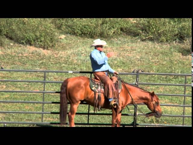 How to Fix Horse Rearing and Bolting with Pat Parelli