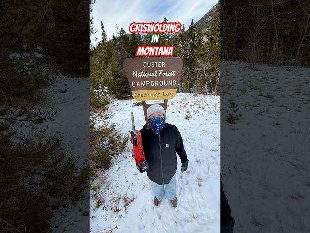 Christmas Tree Hike in Custer National Forest.  #griswold #beartooth #montana #christmastree