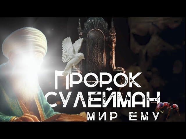 История Пророка Сулеймана (Мир ему)