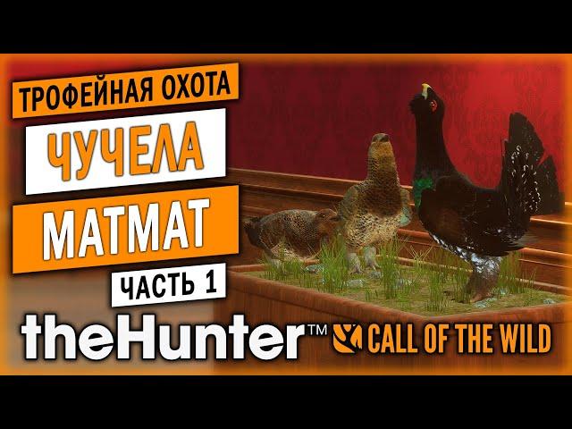 ТРОФЕЙНАЯ ОХОТА И КОМПОЗИЦИИ ИЗ ЧУЧЕЛ ОТ МАТМАТ!| theHunter Call of the Wild  | (часть 1)