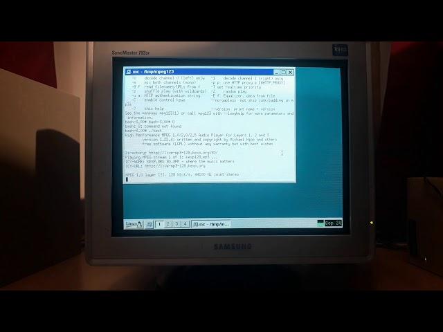 Linux 486 mpg123 online stream