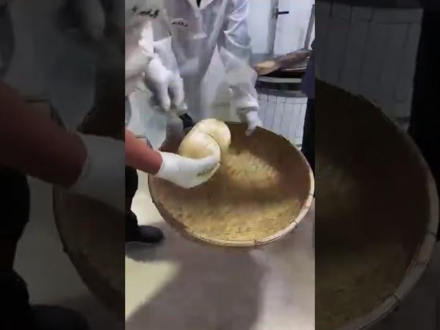 “Harvesting Unique Farm Produce |