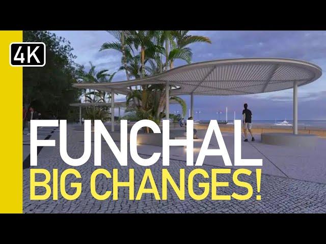 Funchal, Madeira MASSIVE CHANGES in 2024!!!