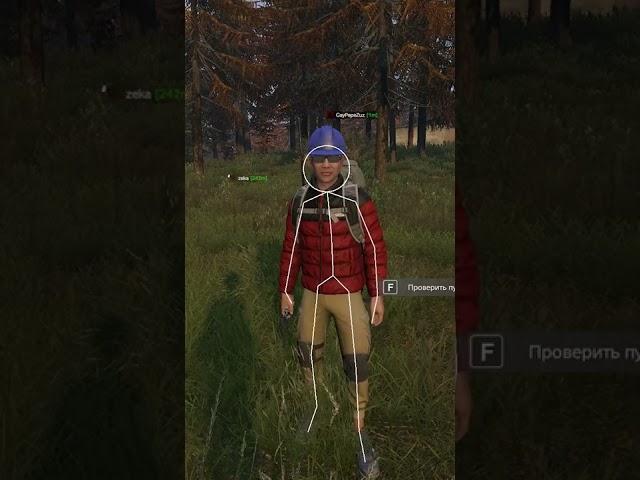 Попался читак в сети #shorts #dayz #podpivas