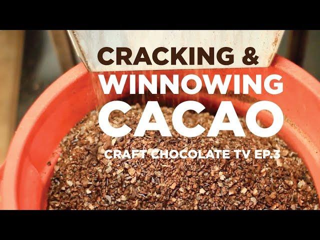 Cracking & Winnowing Cacao - Episode 3 - Craft Chocolate TV