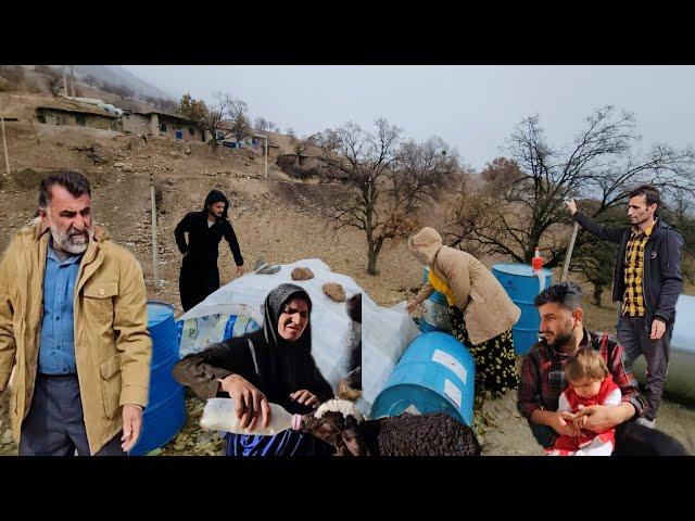 Nomadic Life: Nomadic Home Kitchen: Rainy Days with Mohammad Reza and Zeinab, a Nomadic Couple