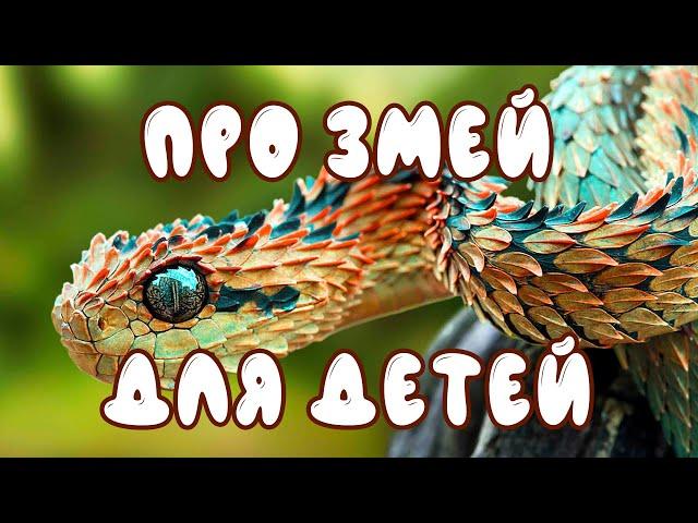 Про змей для детей | Развивающие видео для малышей | дикие животные - карточки Домана