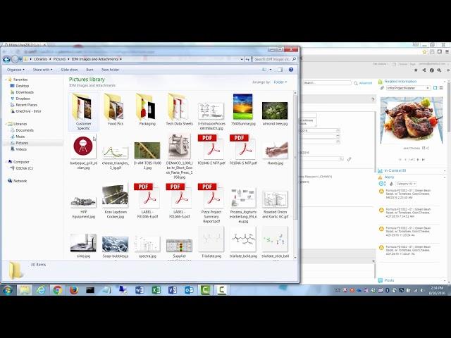 Infor ERP Demo - Optiva PLM – Advanced Project Management, Solution.