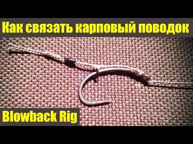 Лучший поводок Blowback Rig. Карповый поводок с кольцом.