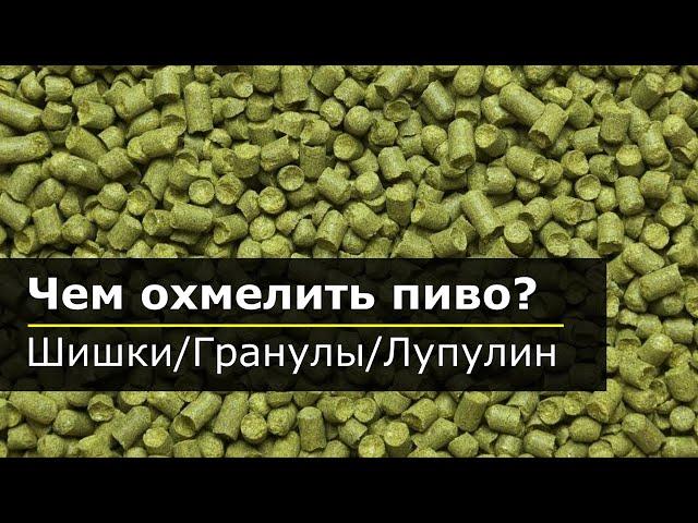 Чем охмелить пиво? Шишки хмеля, гранулы, лупулин.