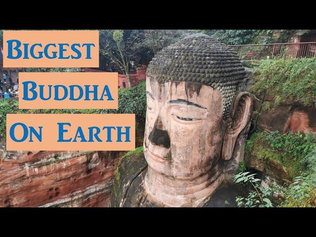 BIGGEST BUDDHA in the World | Giant Buddha of Leshan, Sichuan