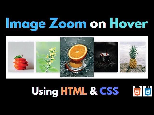 Image Zoom on Hover Effects using HTML & CSS Only