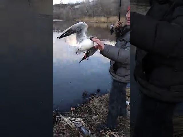 Прикол на рыбалке. Магнитогорск.