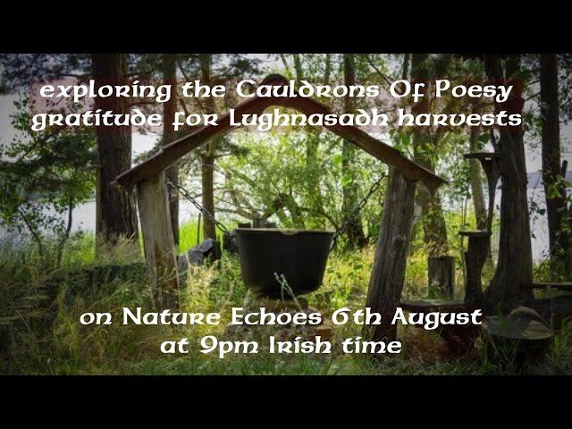 Nature Echoes 30 - Exploring The Cauldrons Of Poesy