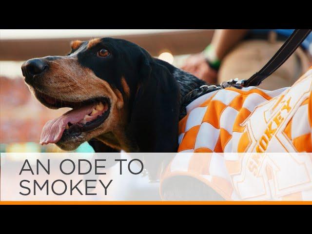 UT Celebrates 67 Years of Smokey