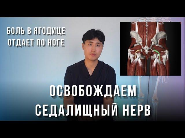 Как освободить седалищный нерв от сдавления?