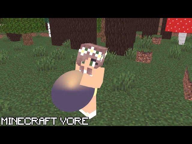 Minecraft Vore Animation Angry Couple