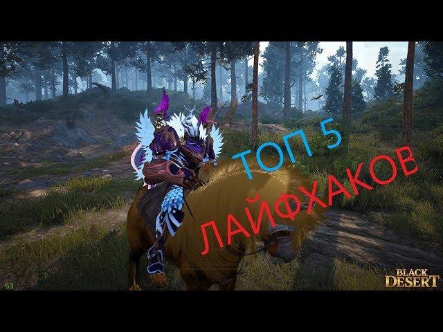 Black desert online: ТОП 5 ЛАЙФХАКОВ