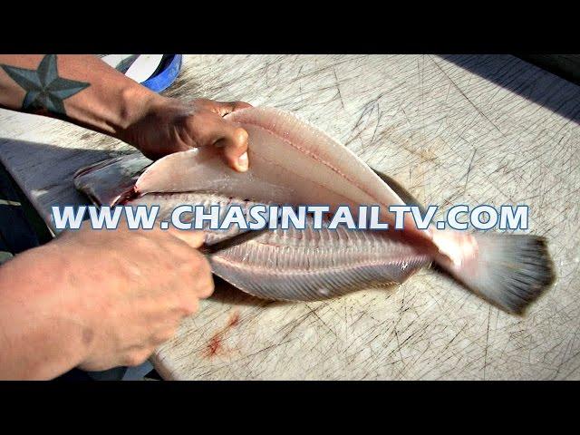 Fillet a Flounder in Under 15 seconds!! | Chasin' Tail TV