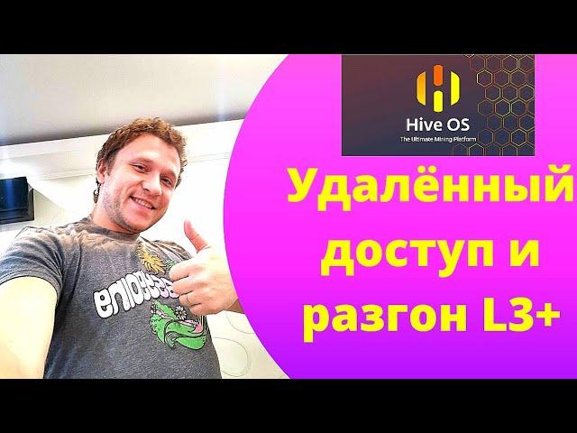 Как я пользуюсь прошивкой HiveOs на своём Antminer L3+.