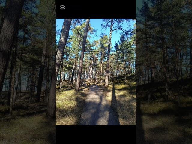 Приглашение в Юрмалу! Invitation to Jurmala!