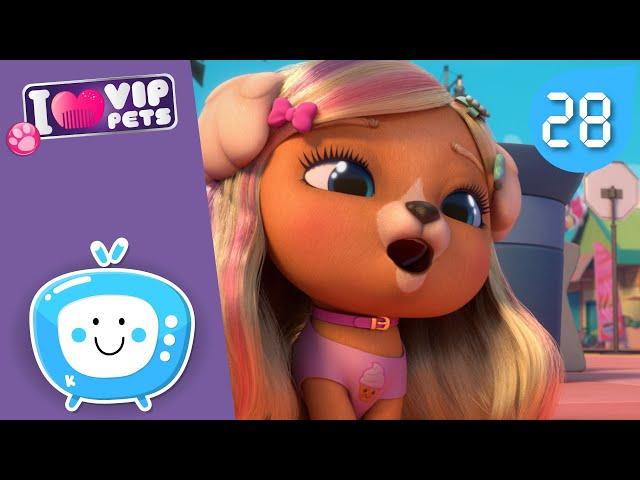 The BEST HAIRSTYLES  VIP PETS  HAIRSTYLES ‍️ Full Episodes  CARTOONS for KIDS in ENGLISH