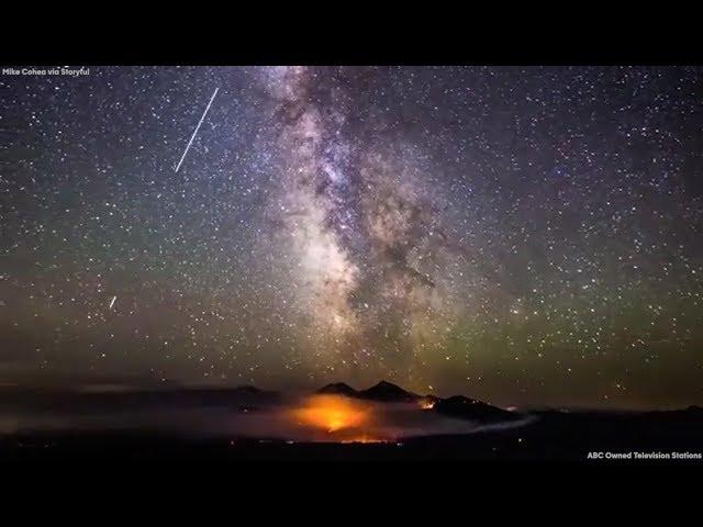 Mesmerizing time-lapse footage shows 2017 through nature's eyes