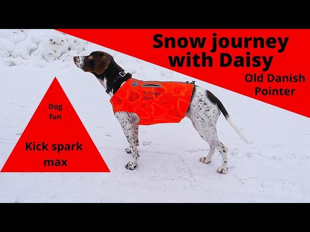 Snow journey with Daisy and the Kick-spark max