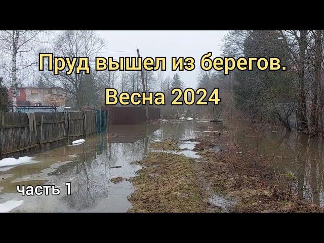 Пруд в СНТ Искра 2024. часть 1