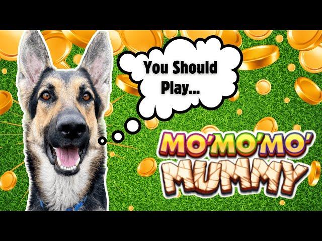 Can a Dog Really Pick a Winning Slot Machine?