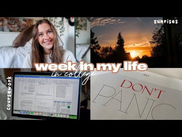 a realistic week in the life of an alevel student!!