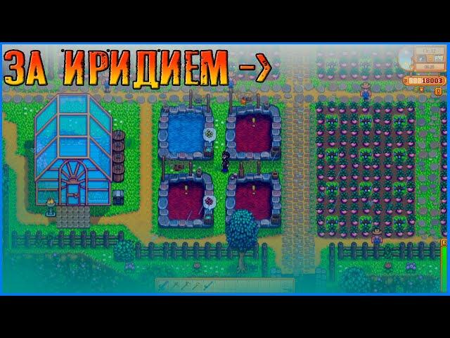 В поисках иридия на 100 этаже пещеры черепа. Stardew Valley Expanded.