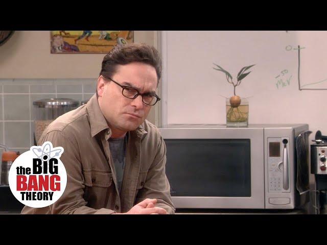 The Avocado Plant | The Big Bang Theory