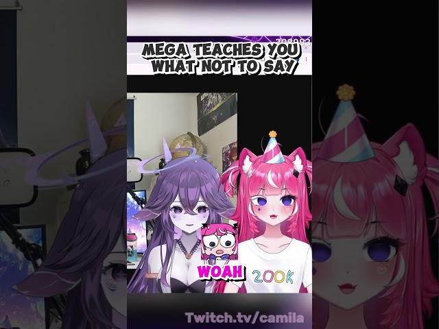 Mega Teaches you what NOT to say