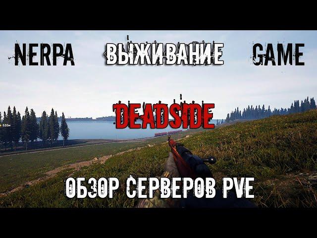 DEADSIDE | Выживание   ОБЗОР СЕРВЕРОВ⭐ PVE⭐ СЕРВЕР "К О С М О С"