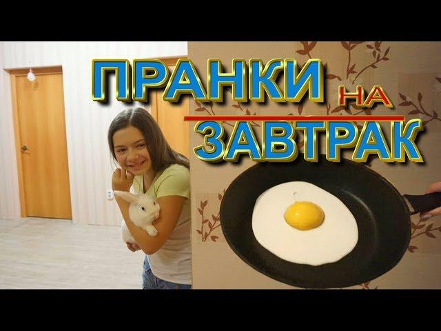 ПРАНКИ на завтрак! Прикольные розыгрыши С ЕДОЙ