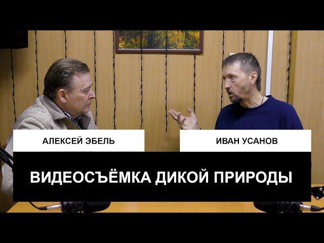 Гражданин натуралист: Алексей Эбель и Иван Усанов о видеосъёмке дикой природы