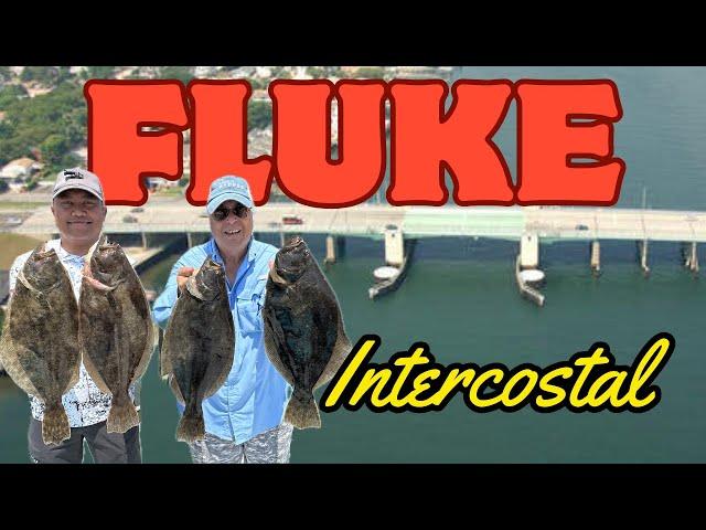 Fluke of Reynolds Channel - Flounder Intercostal Fishing on Long Island , NY