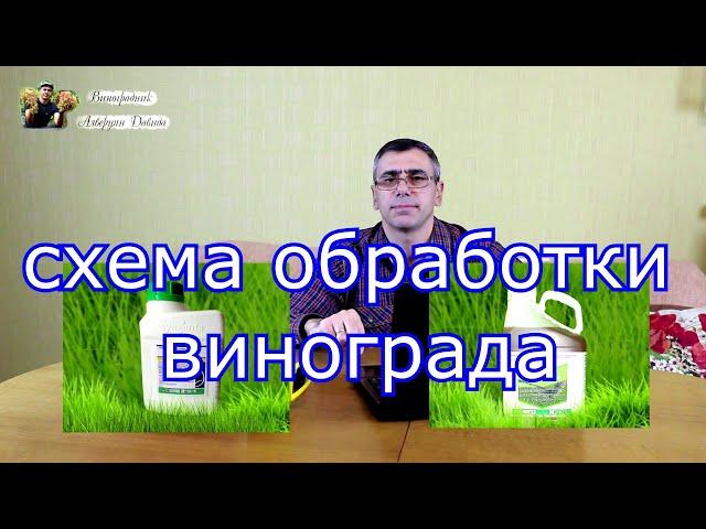 Схема обработки винограда