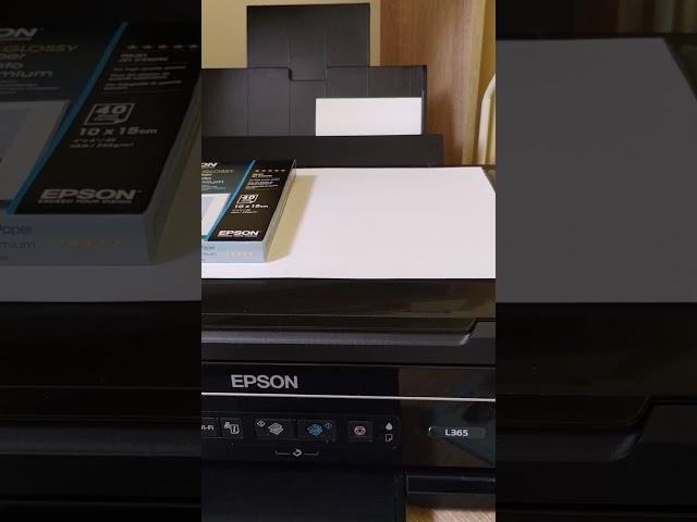 EPSON L365 PHOTO