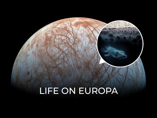 We May Find Alien Life Very Soon