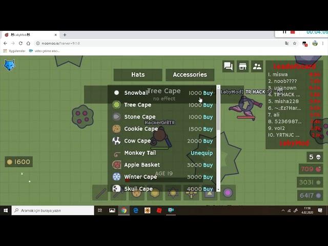 MooMoo.io (Bana inanmadı) Pro Hack