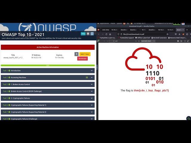 OWASP Top 10 - 2021 Tryhackme - Task 22 Admin Area FLAG | SAL1