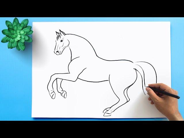 How to Draw a Horse  Horse Drawing Easy