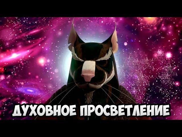 Черепашки-Ниндзя: Легенды #317 СПЛИНТЕР ПОЛУЧИЛ 5 ЗВЕЗДУ 