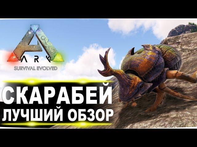 Скарабей (Dung Beetle) в АРК. Лучший обзор: приручение и способности жуков в ark