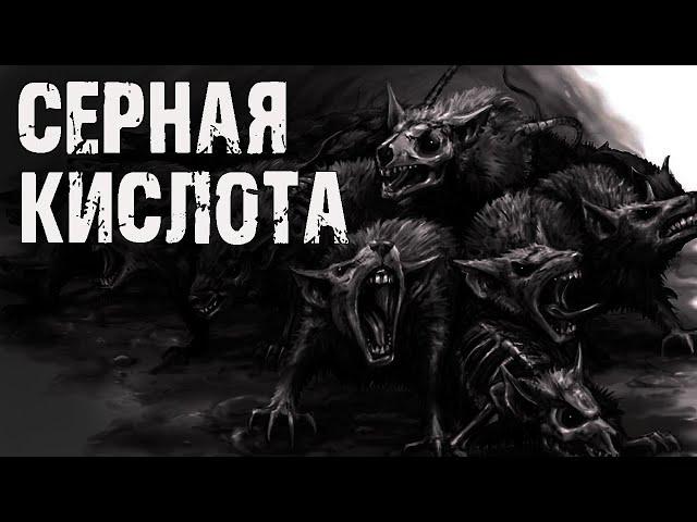 СЕРНАЯ КИСЛОТА - А.Зубенко. Страшные истории на ночь. Мистические рассказы. Ужасы. Мистика